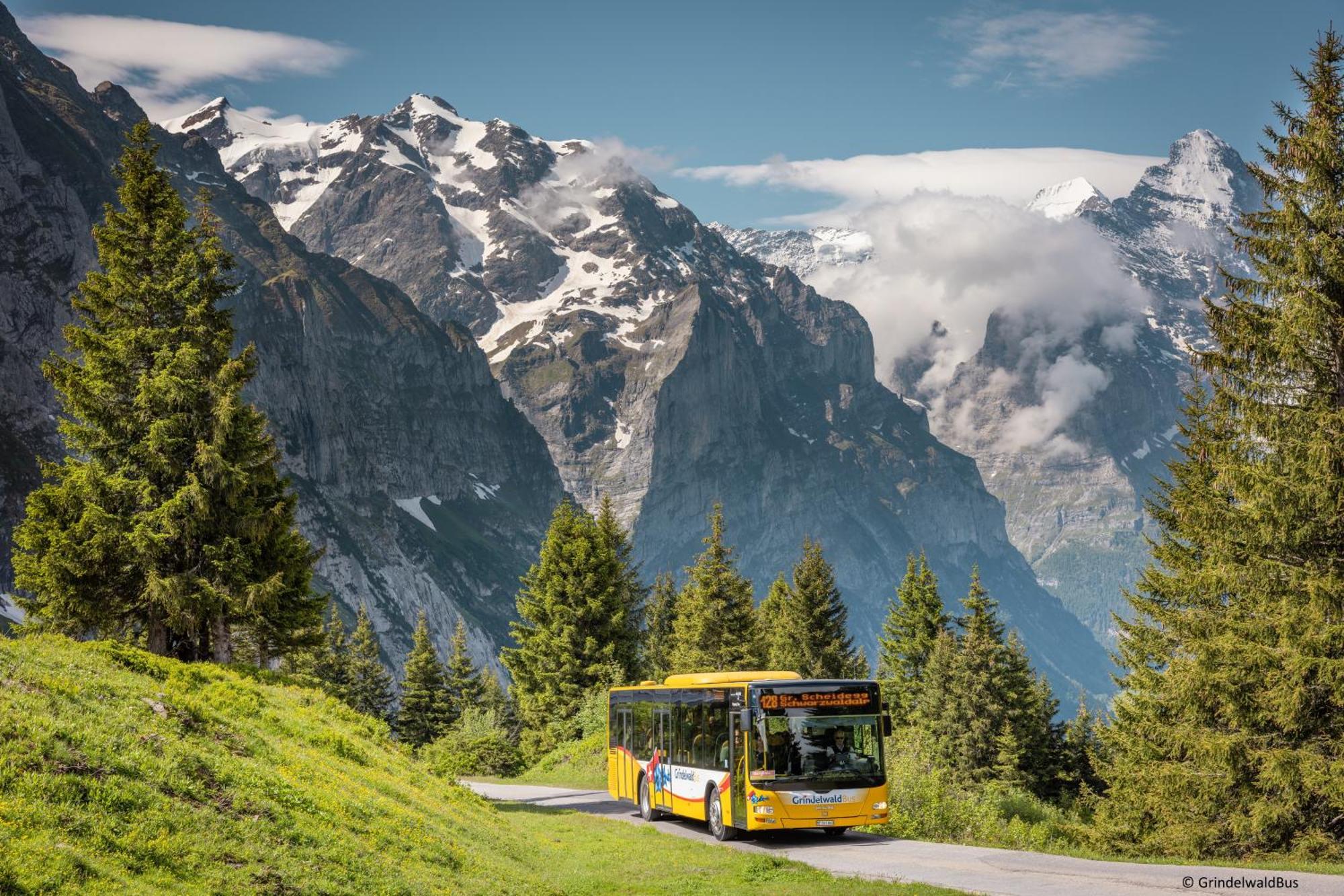 Parkhotel Schoenegg Grindelwald Exterior foto